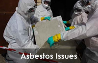 Asbestos Issues