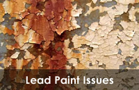 Lead Paint Issues